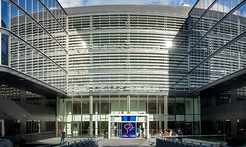Banniere-institut-du-cerveau