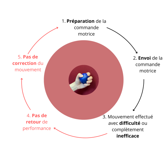 préparation de la commande motrice-16